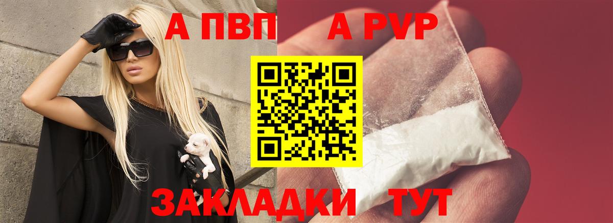 как найти наркотики  A PVP СК  Вход с VPN  A PVP крисы CK  Alfa_PVP СК  Городец 