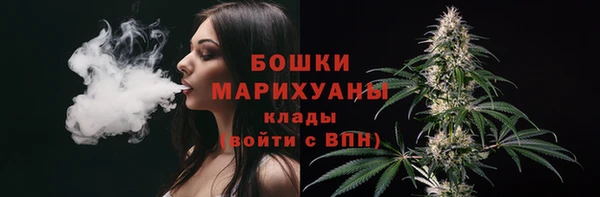 индика Богородицк