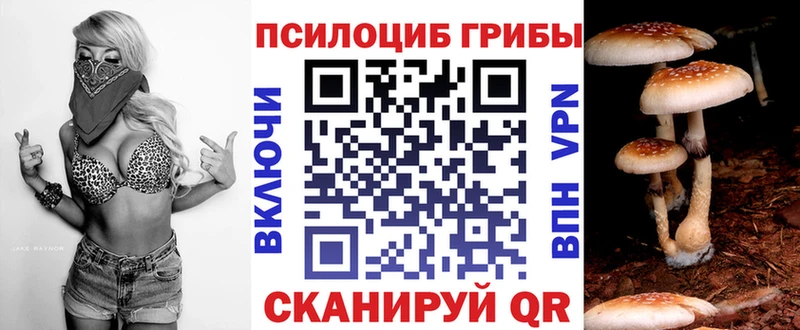 Псилоцибиновые грибы ЛСД OMG ССЫЛКА Городец как найти наркотики