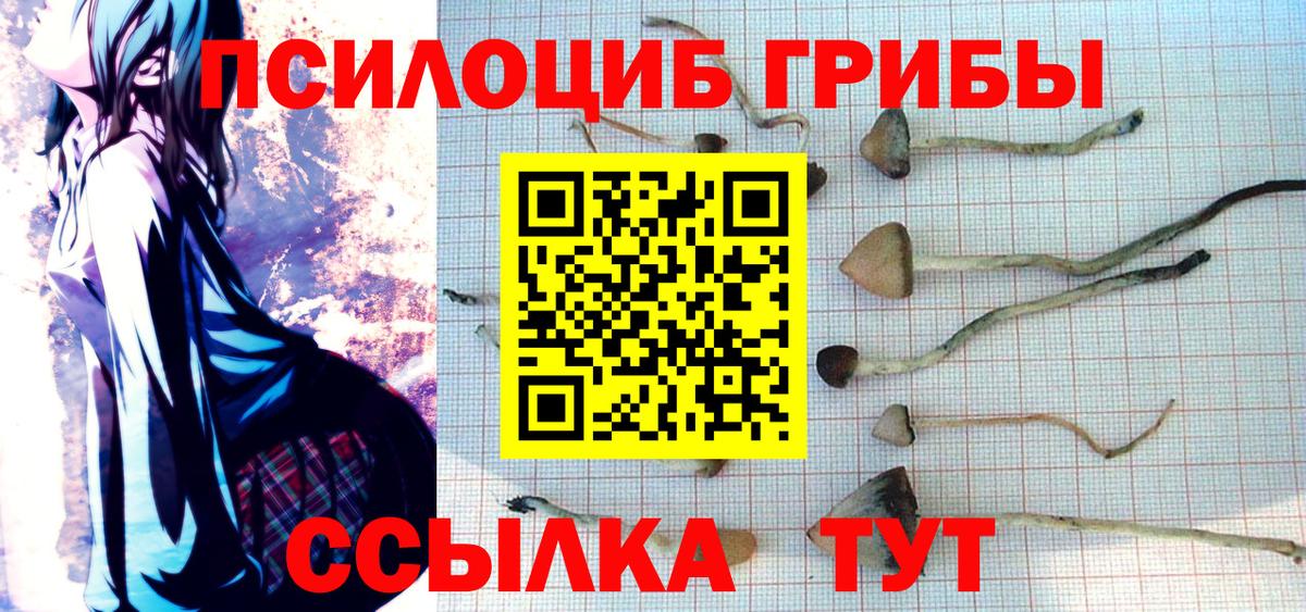 Галлюциногенные грибы Magic Shrooms  Вход с VPN  Городец 